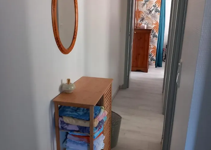 Sud - Les Bruyeres- T4 59m2 Climatise شقة